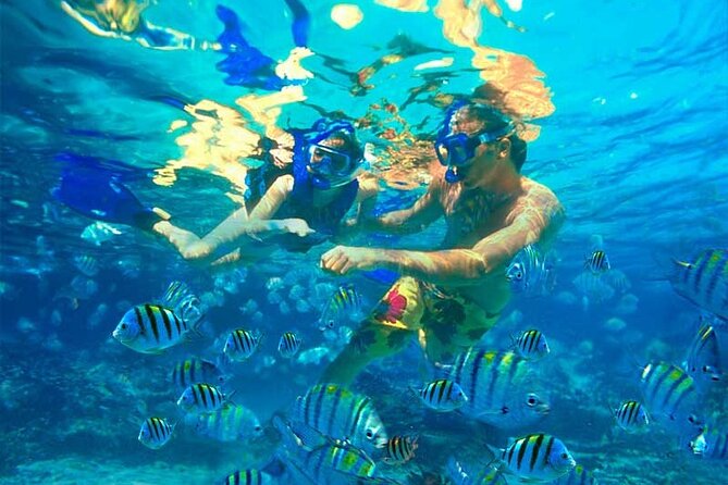 Party Boat Catamaran with Snorkeling from Punta Cana - Music and Party Energy: Great for Adults, Mixed for Families