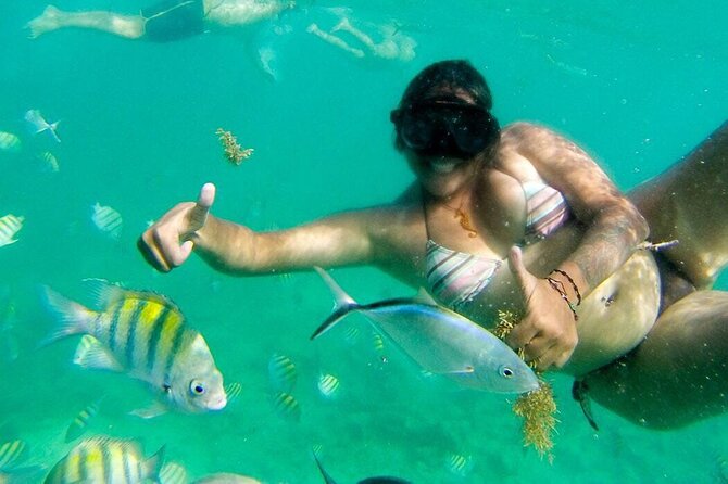 Party Boat - Private groups, snorkeling - Open Bar. - Natural Pool or Sand Bar Time: Swimming, Dancing, and Unplanned Joy