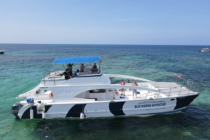 Party Boat - Private groups, snorkeling - Open Bar. - Who This Tour Fits Best (And Who Should Look Elsewhere)