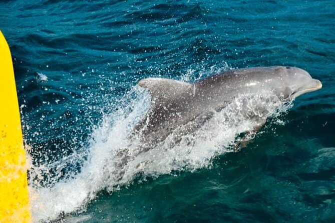 Party Catamaran: OpenBar, Music, Negril Beach, Caves, Snorkeling - Who This Works For (and Who Should Skip It)