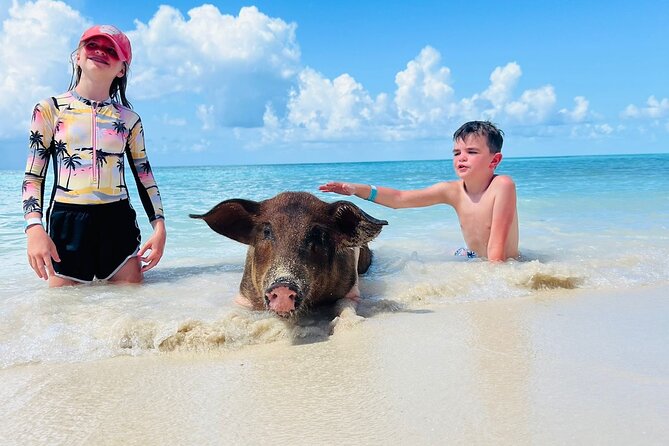 Perfect Day Swimming Pigs, Turtles, Reef Snorkel & Lunch - Key Highlights You’ll Actually Feel