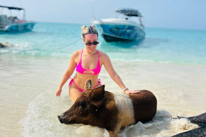 Perfect Day Swimming Pigs, Turtles, Reef Snorkel & Lunch - Atholl Island Reef Snorkel: Where the Sea Gets Close