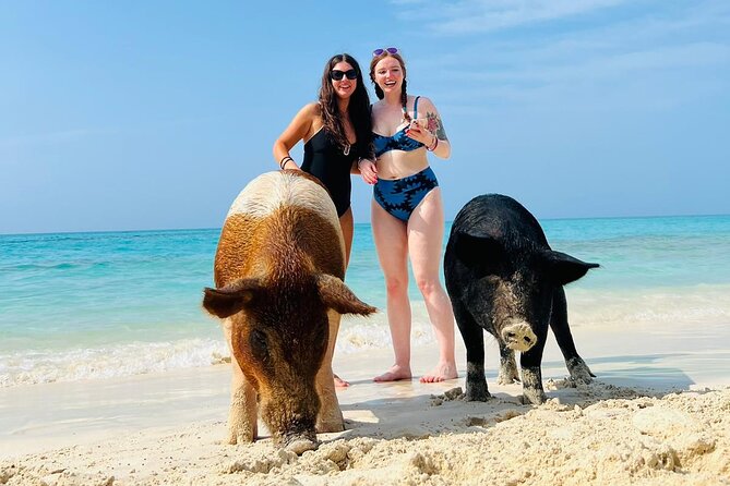 Perfect Day Swimming Pigs, Turtles, Reef Snorkel & Lunch - Rose Island Beach Club: Lunch, Drinks, and the Best Break Between Stops