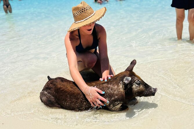 Perfect Day Swimming Pigs, Turtles, Reef Snorkel & Lunch - Price and Value: What $189 Buys You in the Real Bahamas