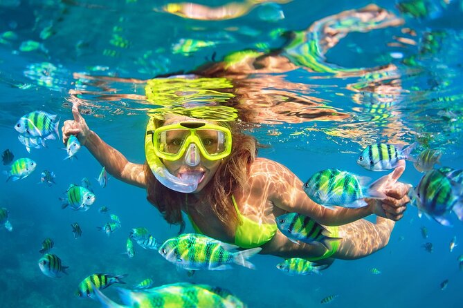 Phi Phi and Khai Islands Snorkeling Tour with Lunch by Speedboat - Getting from Phuket to Royal Phuket Marina (and what to bring)