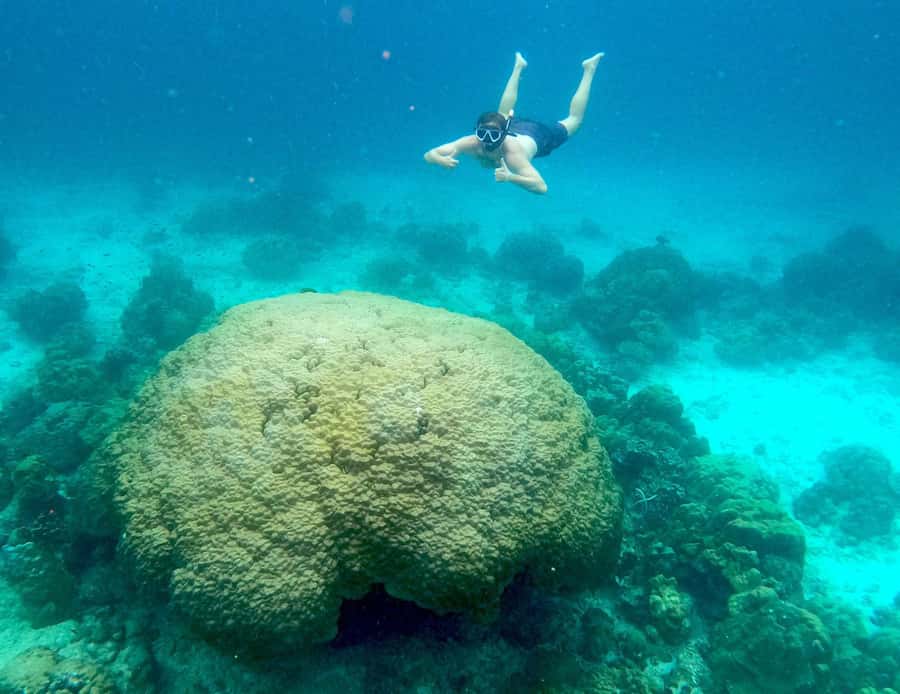 Phi Phi: Private Longtail Boat to Maya Bay with Snorkeling - Which tour length fits your style: 3, 4, 6, or 7 hours
