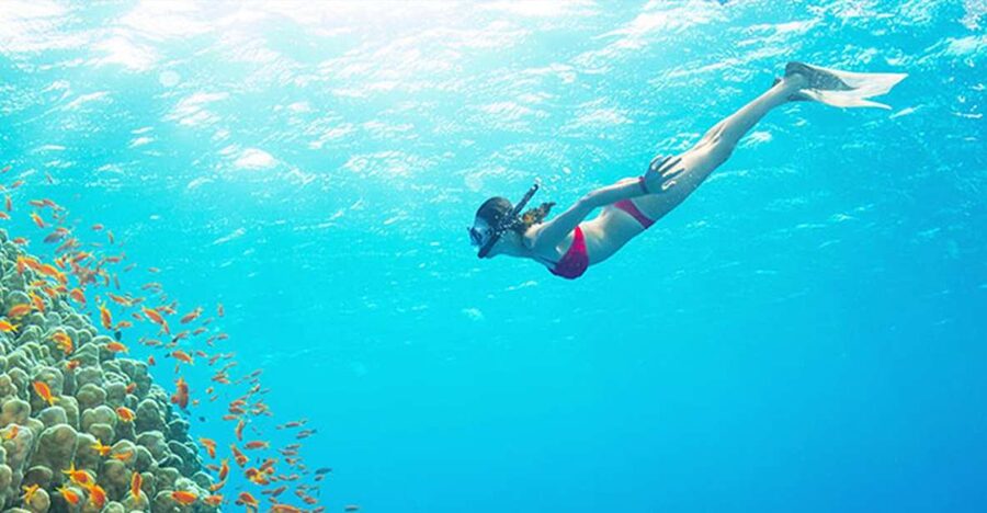 Phu Quoc: Speedboat Tour of 4 Islands with Snorkeling & BBQ - Key Points You Should Know Before You Go