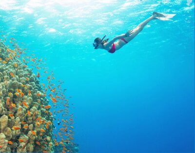 Phu Quoc: Speedboat Tour of 4 Islands with Snorkeling & BBQ - Price and What You’re Really Paying For at $56