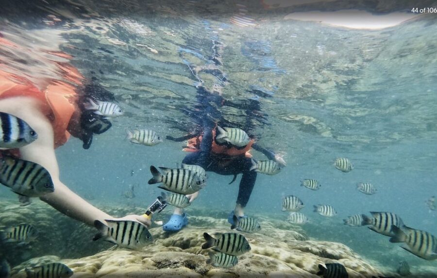 Phu Quoc: Speedboat Tour of 4 Islands with Snorkeling & BBQ - Seafood BBQ Lunch on the Mainland: Why It’s a Big Deal