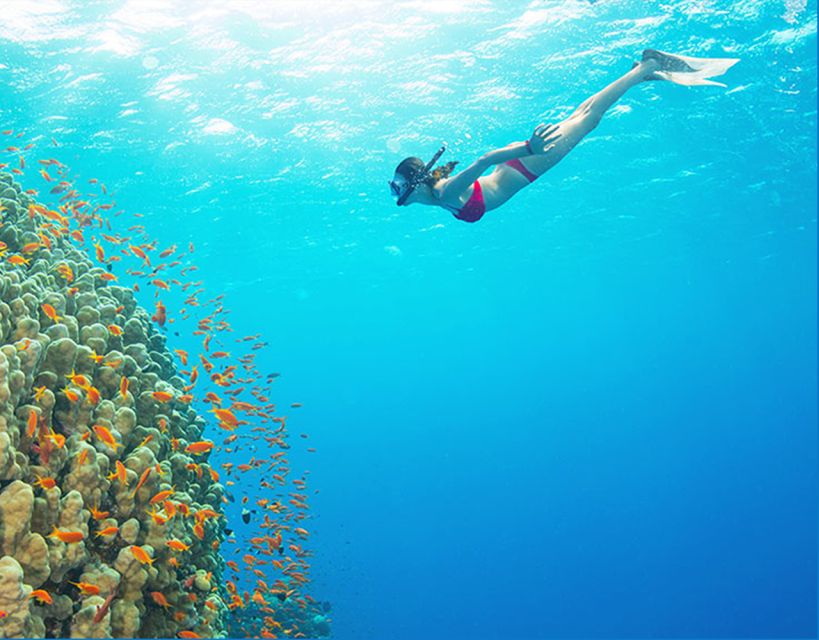 Phu Quoc: Speedboat Tour of 4 Islands with Snorkeling & BBQ - Price and What You’re Really Paying For at $56