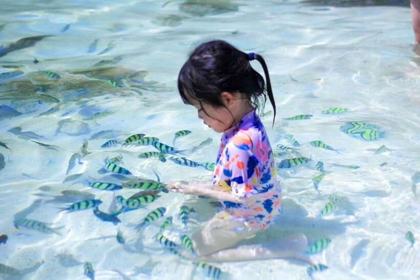 Phuket: 3 Khai Islands Relax & Snorkeling Half/Full Day Tour - Stop 3: Koh Khai Nok for Shallow Snorkeling and a Real Beach