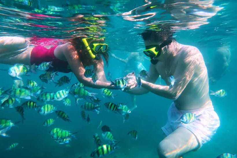 Phuket: 3 Khai Islands Speedboat Tour- Snorkeling & Relaxing - Price value check for the $26 per person range