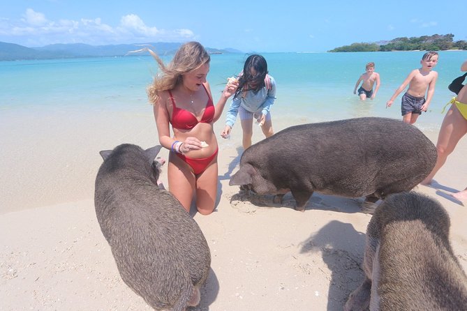 Pig Island Snorkeling & Sightseeing Tour By Speedboat From Koh Samui - Koh Samui Speedboat to Pig Island: the big picture