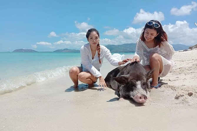 Pig Island Snorkeling & Sightseeing Tour By Speedboat From Koh Samui - Boat ride comfort, timing, and pickup details that can make or break it