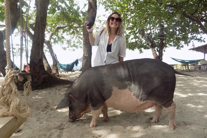 Pig Island Snorkeling & Sightseeing Tour By Speedboat From Koh Samui - Health and activity limits: who should think twice