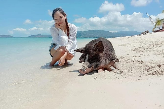 Pig Island Snorkeling & Sightseeing Tour By Speedboat From Koh Samui - Value check: $47.62 plus small extras