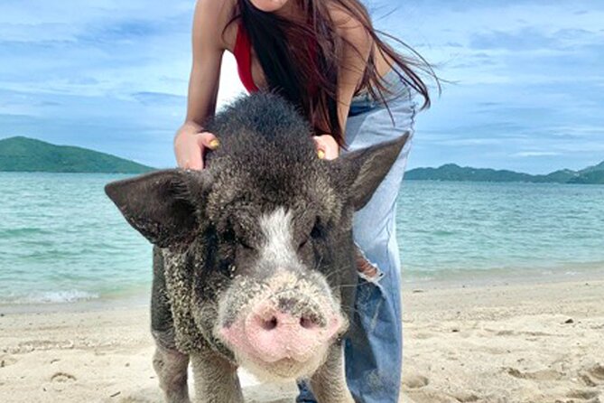 Pig Island Tour by Speedboat with Snorkeling - Pig Island on a Speedboat: What This Half-Day Really Feels Like