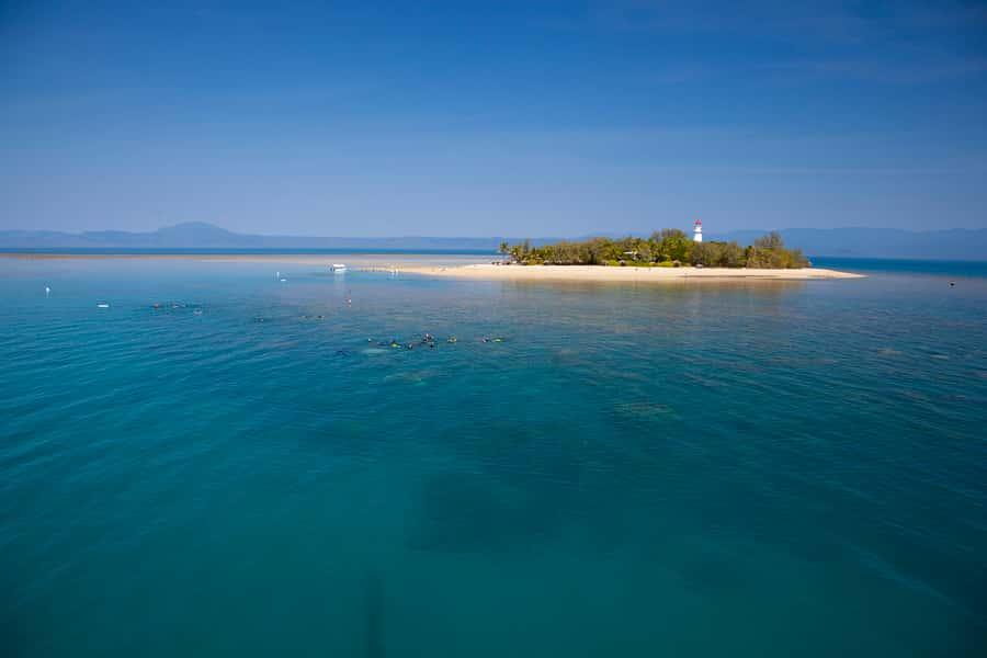Port Douglas: Low Isles Glass Bottom Boat & Snorkeling Tour - Port Douglas to Low Isles: The Half-Day Timing That Actually Feels Relaxing