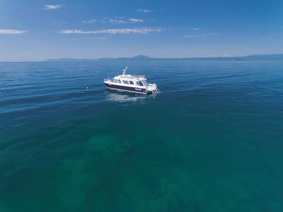 Port Douglas: Low Isles Glass Bottom Boat & Snorkeling Tour - Who This Tour Suits (and Who Should Skip It)