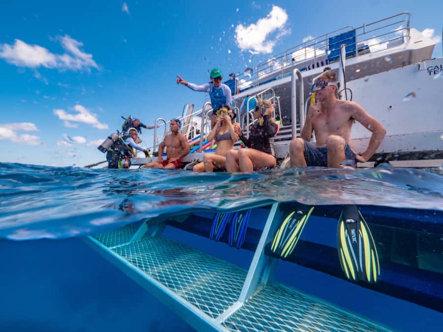 Port Douglas: Outer Barrier Reef Snorkel and Dive Options - The optional scuba sessions: confidence matters, and the crew gets it