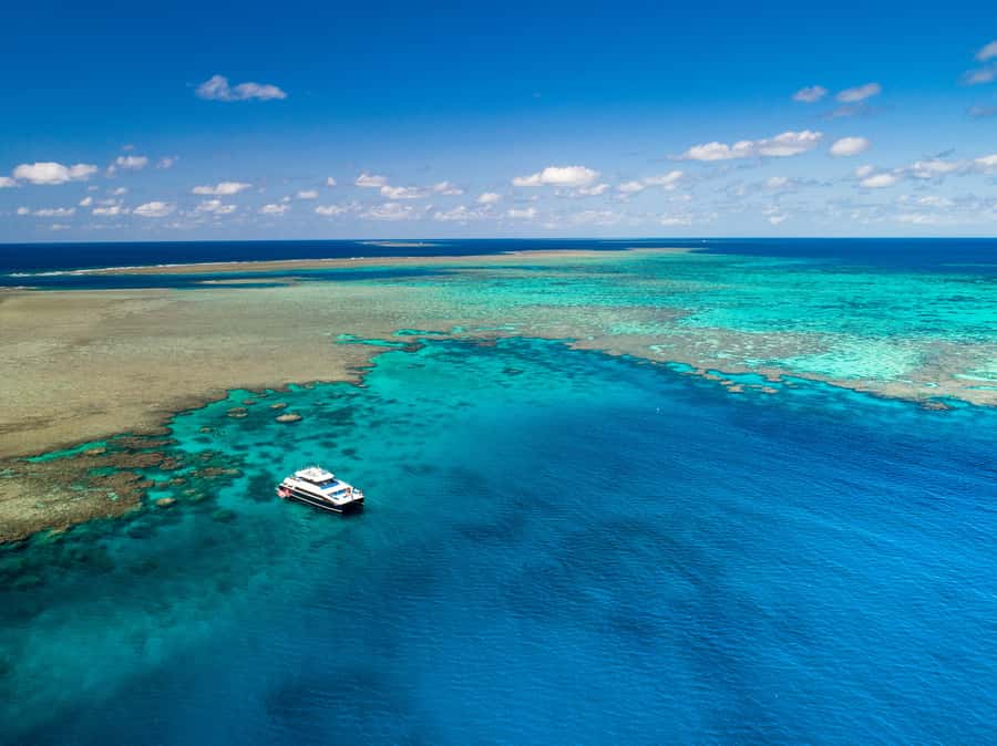 Port Douglas: Outer Barrier Reef Snorkel and Dive Options - The catamaran ride: comfort, deck space, and sea-sickness reality