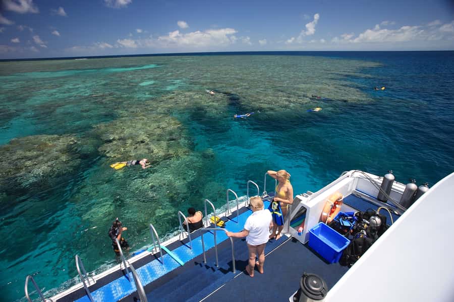 Port Douglas: Outer Barrier Reef Snorkel and Dive Options - Morning tea and the shift from “travel mode” to “feeding mode”