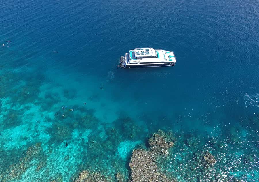 Port Douglas: Outer Barrier Reef Snorkel and Dive Options - Lunch and reef talk: turning what you see into something you understand