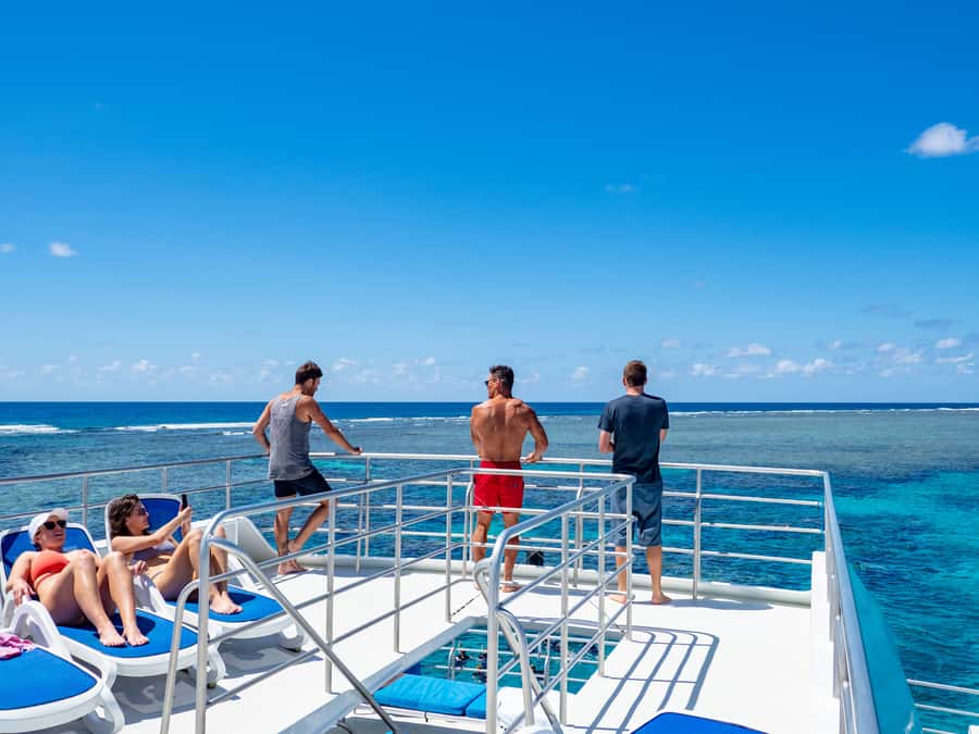 Port Douglas: Outer Barrier Reef Snorkel and Dive Options - Reef time #2 and #3: turtles, rays, giant clams, and choosing your pace