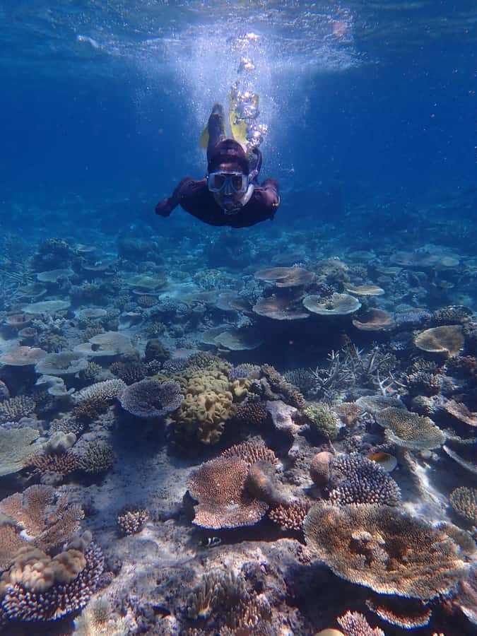 Port Douglas: Outer Great Barrier Reef Snorkeling Cruise - Who this tour fits well (and who should look elsewhere)