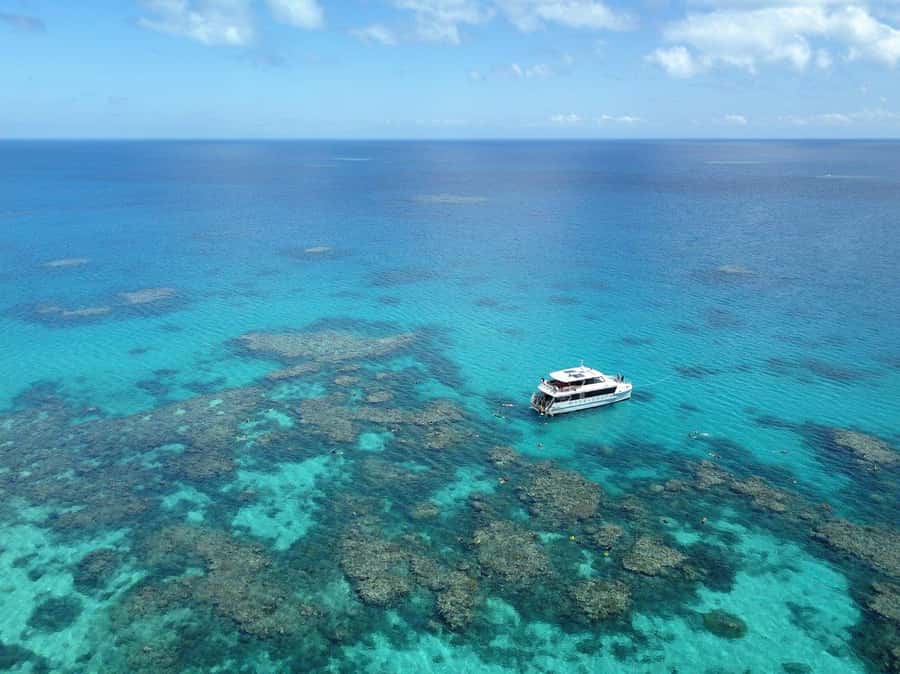 Port Douglas: Outer Great Barrier Reef Snorkeling Cruise - Outer Reef from Port Douglas: Why this trip feels different