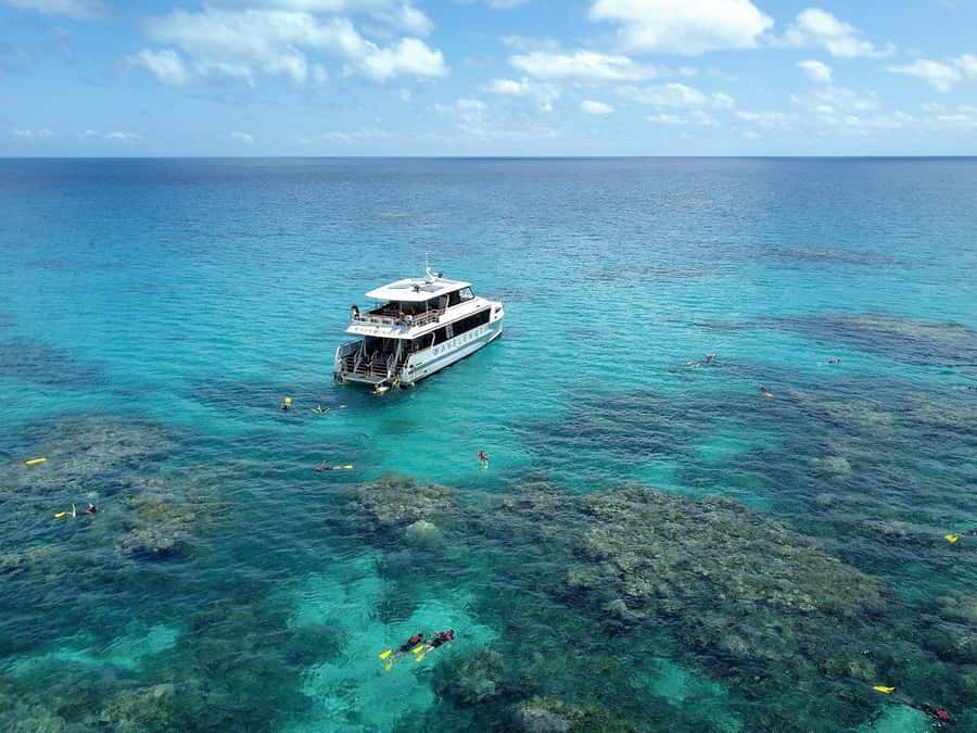 Port Douglas: Outer Great Barrier Reef Snorkeling Cruise - The 90-minute run to the continental shelf edge (plus wildlife chances)