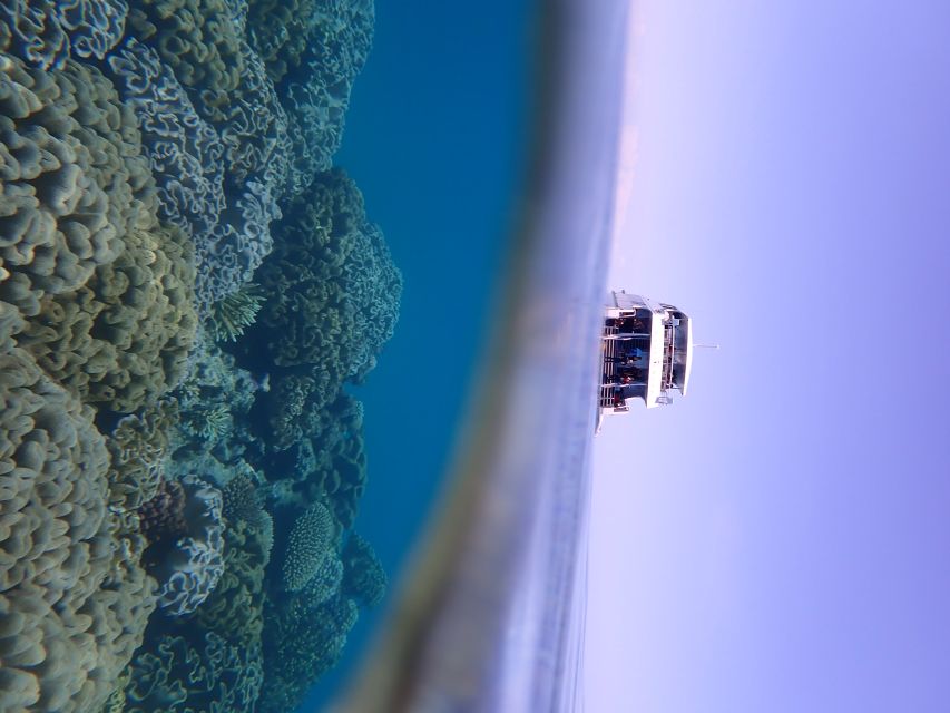 Port Douglas: Outer Great Barrier Reef Snorkeling Cruise - Snorkeling time with marine biologists: Support in the water, not lectures
