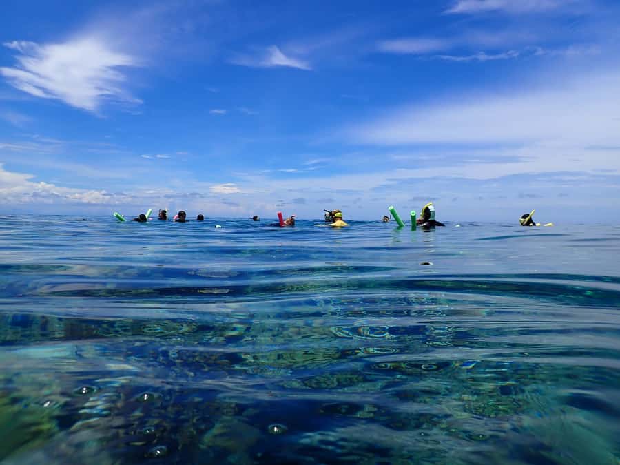 Port Douglas: Outer Great Barrier Reef Snorkeling Cruise - Deli-style lunch, snacks, and smart choices that matter