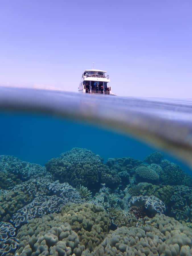 Port Douglas: Outer Great Barrier Reef Snorkeling Cruise - Complimentary reef photos: A gift that saves your hands