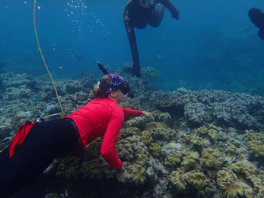 Port Douglas: Outer Great Barrier Reef Snorkeling Cruise - Boarding Wavelength at 8:10am: Smooth start, clear focus