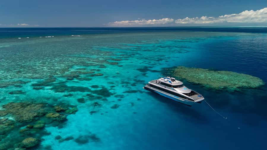 Port Douglas: Silversonic Great Barrier Reef Dive & Snorkel - From Crystalbrook Marina to the Outer Reef: The Timing That Matters