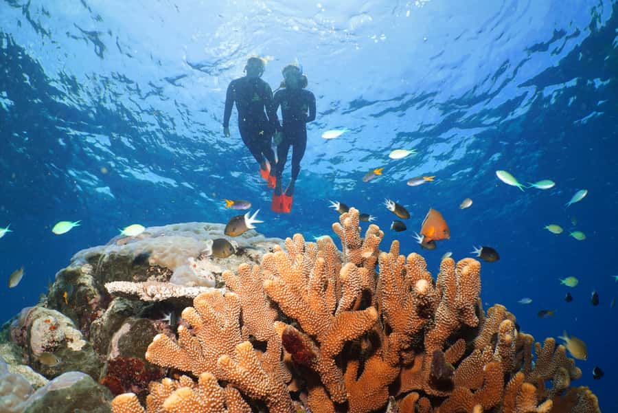 Port Douglas: Silversonic Great Barrier Reef Dive & Snorkel - The catamaran experience: smooth travel, real comfort, easy entry
