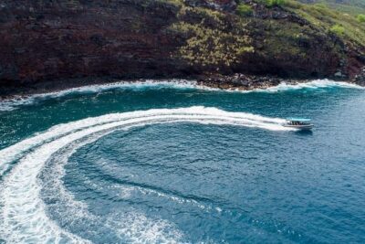 Premium Kona Coast Morning Snorkel - Puʻuhonua O Honaunau National Historical Park: the Place of Refuge underwater