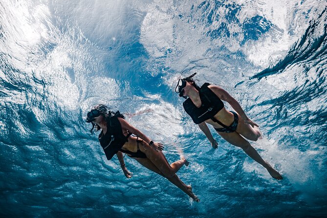 Premium Morning Snorkel Sail with Champagne Brunch - How the Three Snorkel Stops Shape the Whole Day