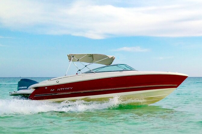 PRIVATE! | 4-hour Speed Boat Trip | Swim With Dolphins, Snorkeling & Island - Final snorkel: the shipwreck stop is the payoff for many people