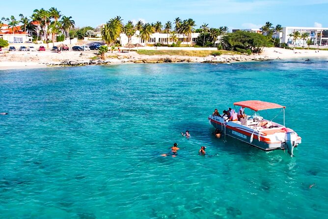 Private Aruba Snorkeling Excursion with Rum Punch - Catalina Bay and Malmok beach: the shallow-water snorkeling setup that works