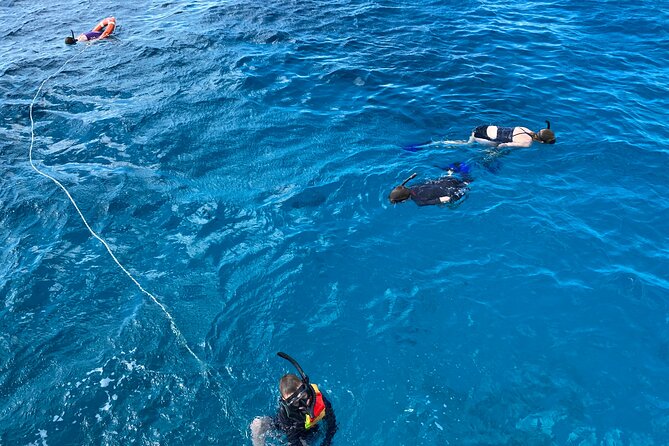 Private Catamaran Cruise and Snorkeling Tour in Honolulu - Offshore Waikiki: Snorkeling Without the Usual Crowd Feel