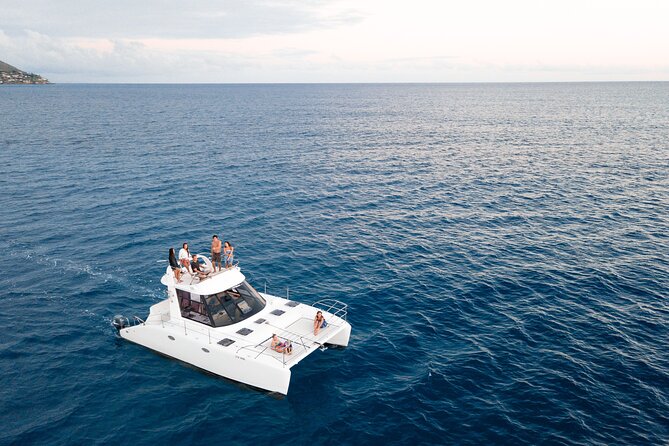 Private Catamaran Cruise and Snorkeling Tour in Honolulu - Wildlife Chances: Turtles, Dolphins, and a Whale Watch That Can Go Either Way