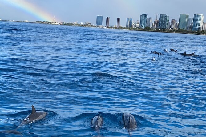 Private Catamaran Cruise and Snorkeling Tour in Honolulu - Price and Value: Why $749 Can Make Sense for the Right Group