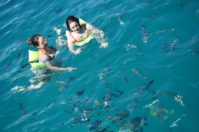 Private Catamaran Snorkeling Cruise in Los Cabos - Who should book this Los Cabos catamaran snorkeling cruise