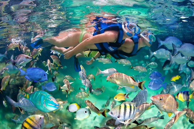 Private Catamaran Snorkeling Family Adventure - Snorkeling in the Caribbean: Gear Included, Focus on Time