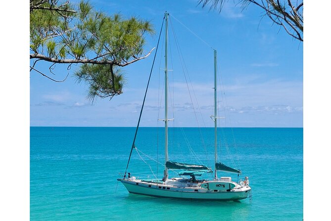 Private Catamaran Swim sail snorkel cliff jumping SUP - Snorkeling, SUP, and the Crystal Kayak: using the “included toys” well