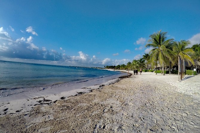 Private Cenote & Snorkeling Tour with Turtles in Akumal - Stop 2: Akumal Bay turtle time in warm Caribbean water