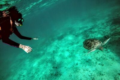 Private Cenote & Snorkeling Tour with Turtles in Akumal - Stop 1: Taak Bi Ha cenote snorkeling in a limestone cavern