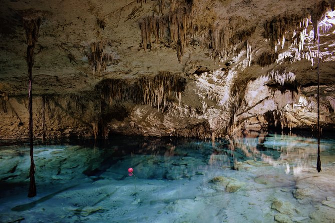 Private Cenote & Snorkeling Tour with Turtles in Akumal - Gear, tickets, and what’s actually included